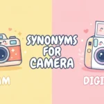 Synonyms for Camera